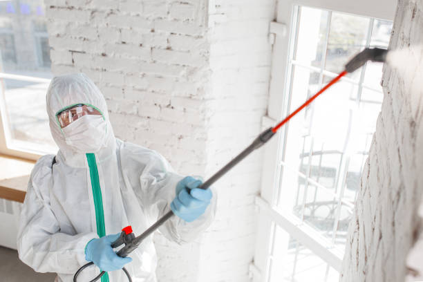 Best Mold Prevention Services  in Jones, OK