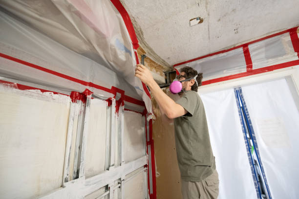 Trusted Jones, OK Mold Removal Experts